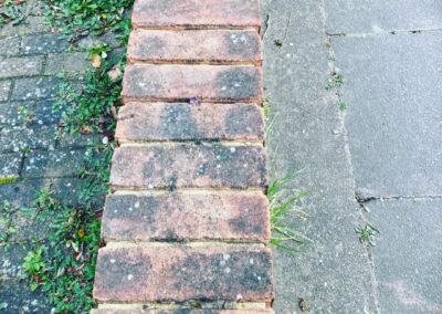 sevenoaks garden services gallery 11