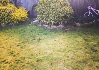 sevenoaks garden services gallery 21