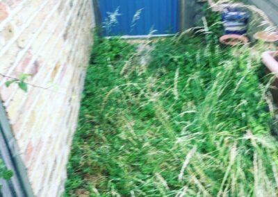 sevenoaks garden services gallery 24