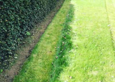 sevenoaks garden services gallery 28