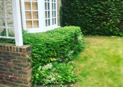 sevenoaks garden services gallery 32