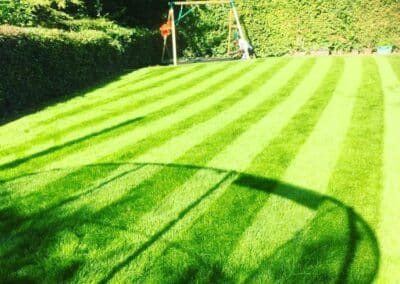 sevenoaks garden services gallery 45