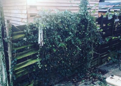 sevenoaks garden services gallery 46